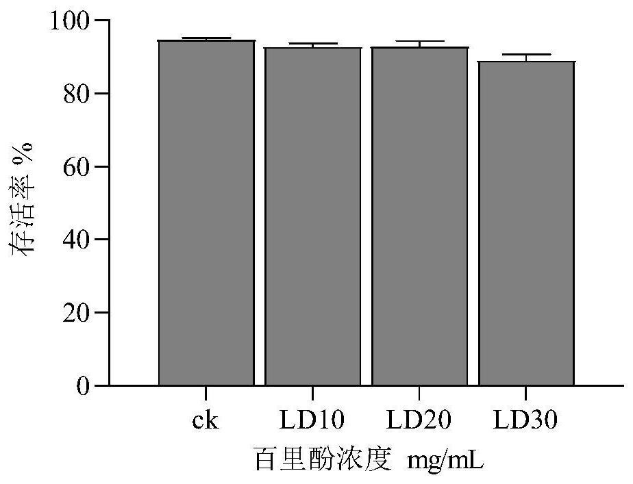 Thymol-containing termite control medicine and application thereof