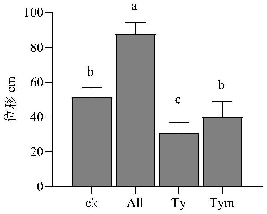 Thymol-containing termite control medicine and application thereof