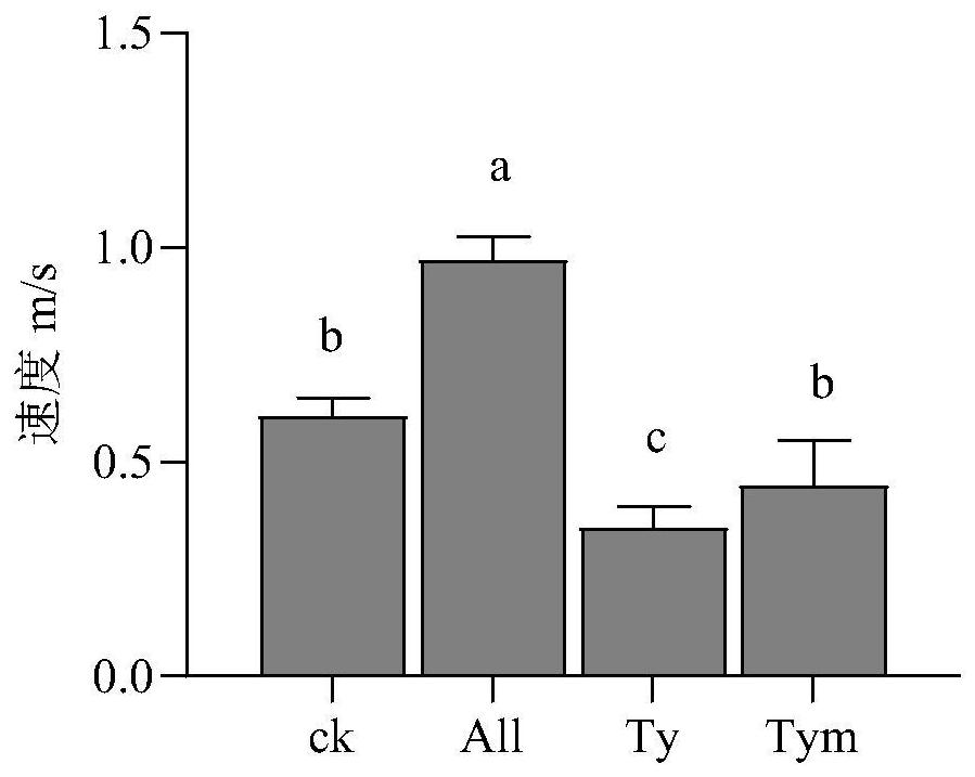 Thymol-containing termite control medicine and application thereof