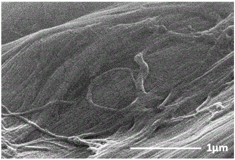 Preparation method for oil and water separation filter paper for naphtha and diesel oil