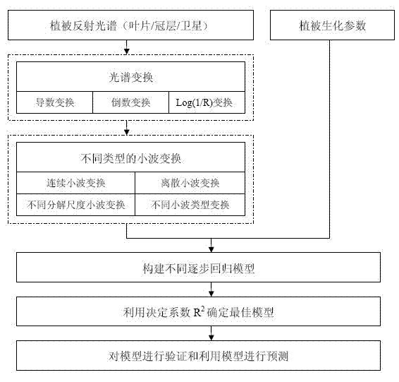 Method for inverting vegetation parameters by remote sensing based on reflection spectrum wavelet transform