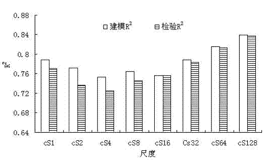 Method for inverting vegetation parameters by remote sensing based on reflection spectrum wavelet transform