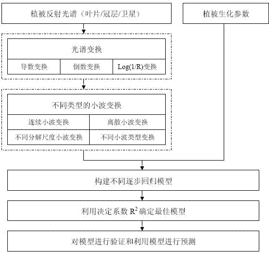 Method for inverting vegetation parameters by remote sensing based on reflection spectrum wavelet transform