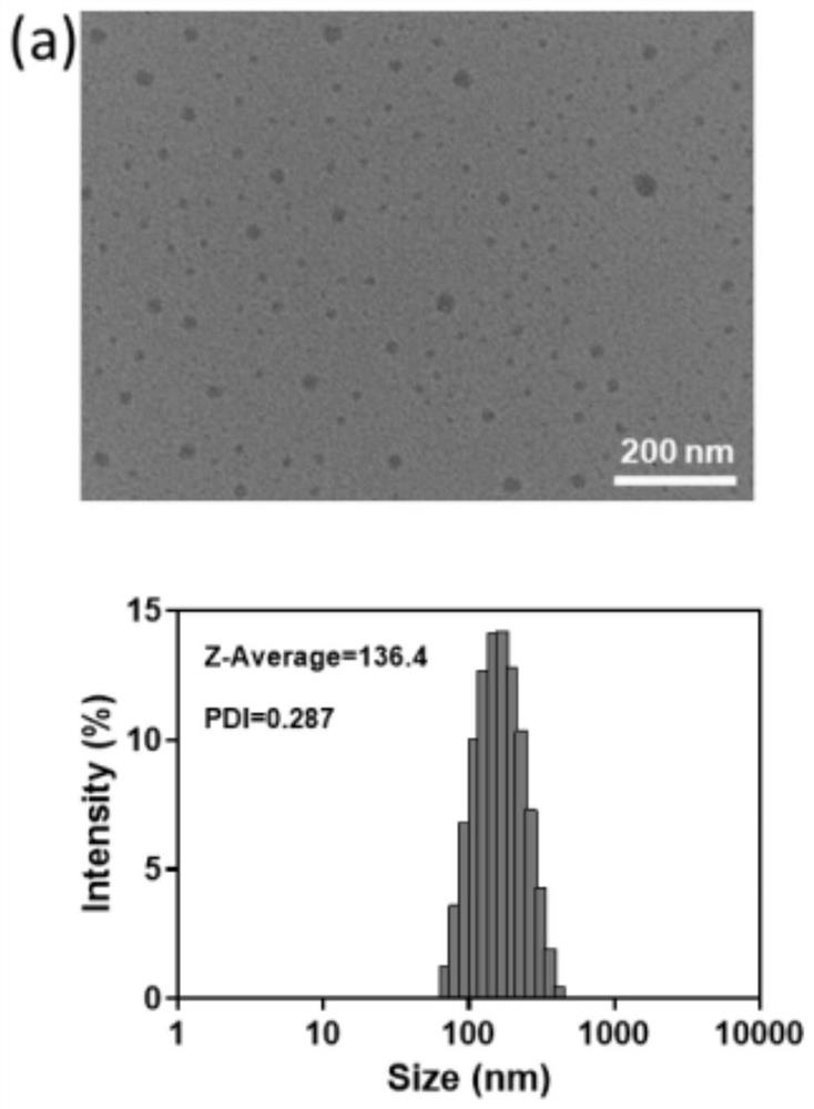 Light-controllable metal ion delivery particle as well as preparation method and application thereof