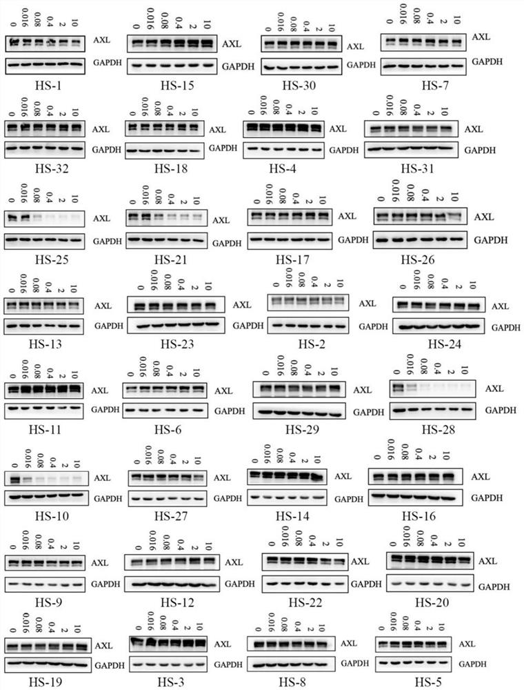 Protein kinase degradation agent and application thereof