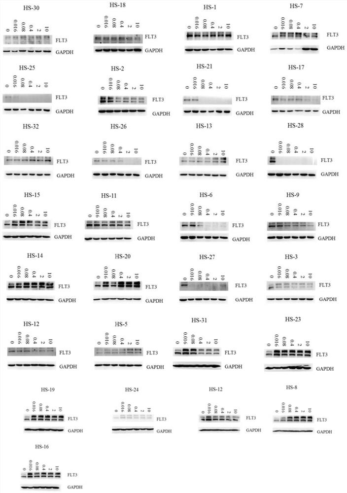 Protein kinase degradation agent and application thereof