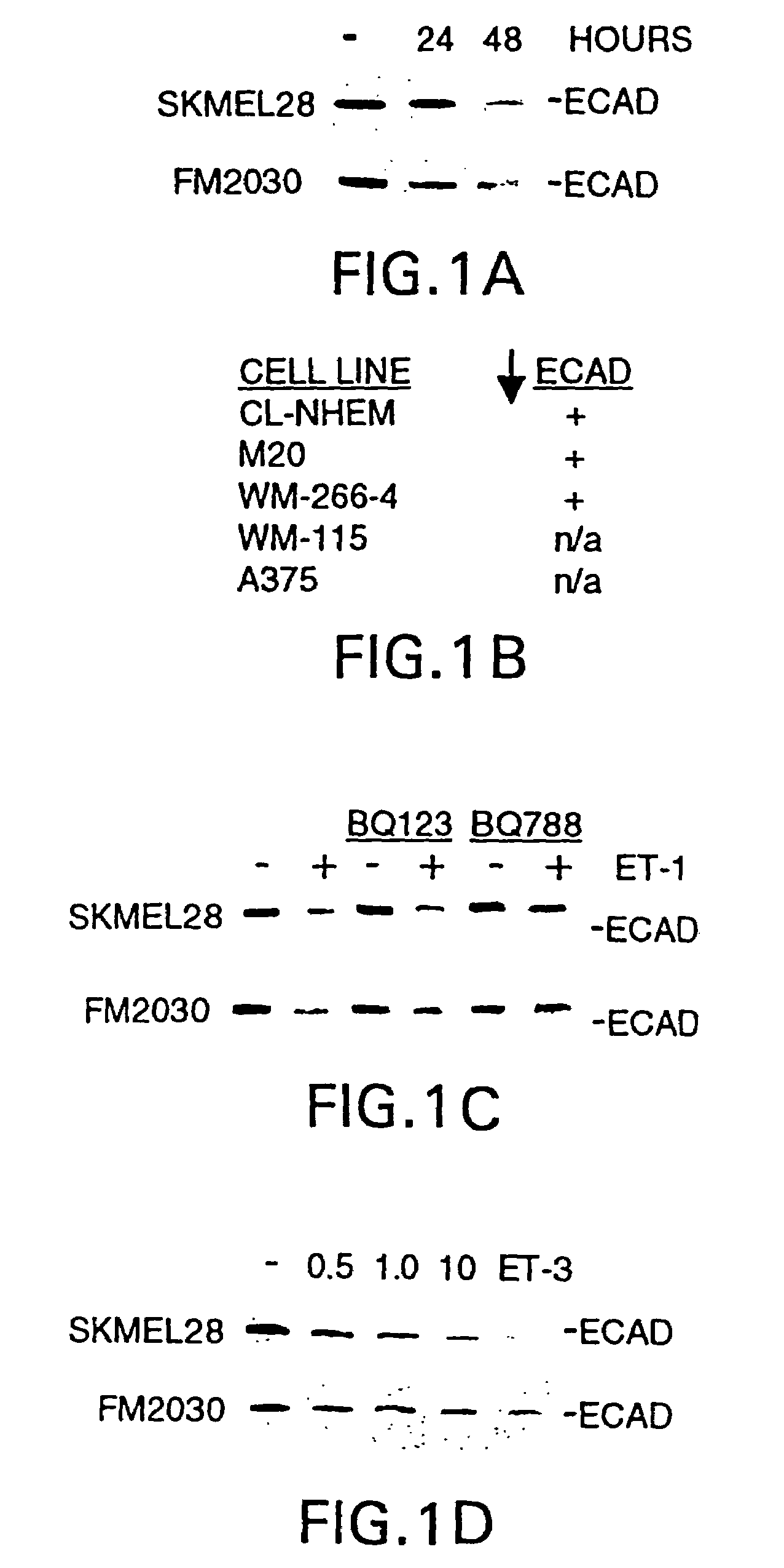 Cancer treatment with endothelin receptor antagonists