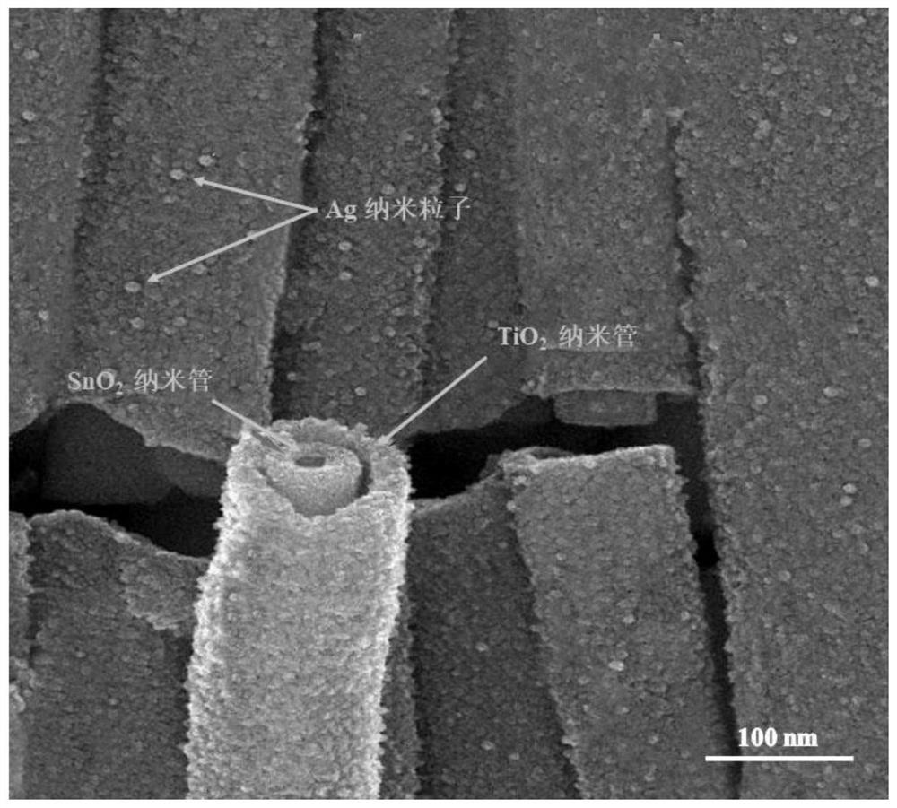 Nanotube photocatalytic bactericide as well as preparation method and application thereof