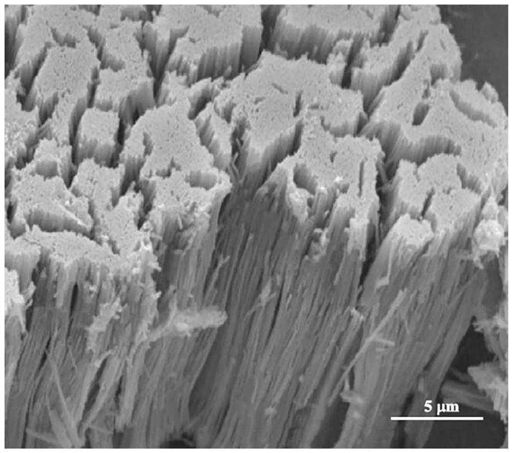 Nanotube photocatalytic bactericide as well as preparation method and application thereof