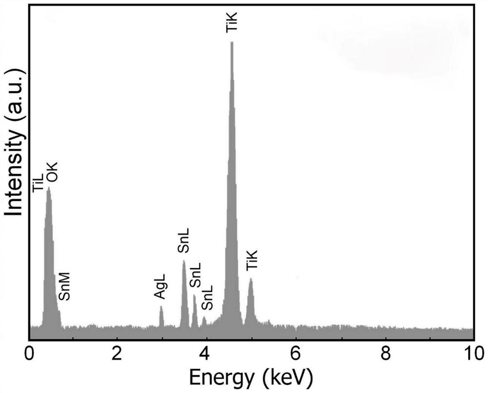 Nanotube photocatalytic bactericide as well as preparation method and application thereof