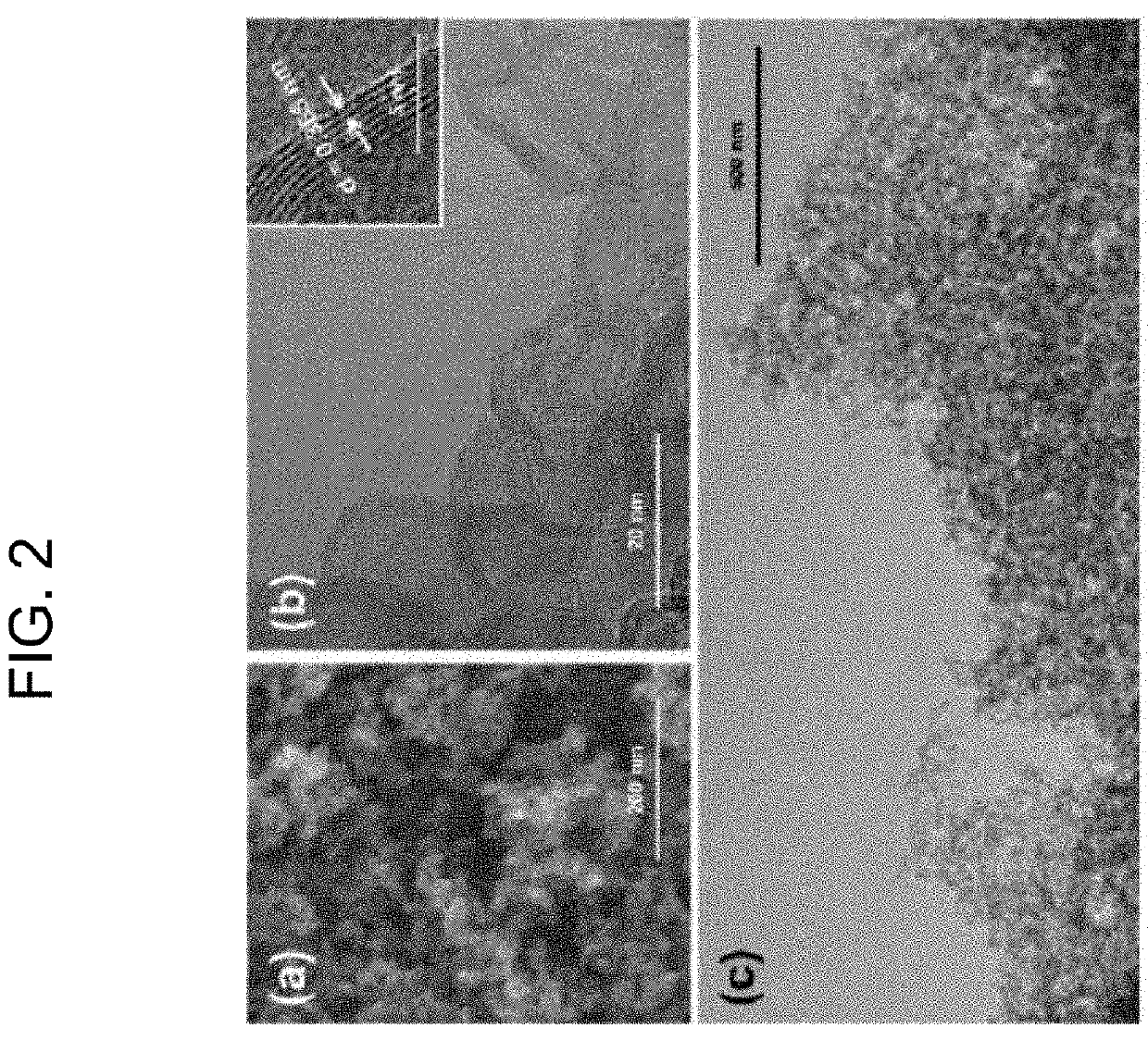 Method for producing graphene nanospheres