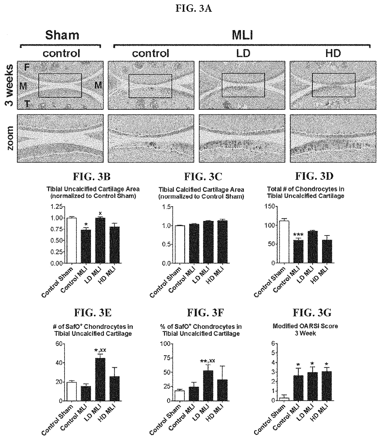 Compositions of hydrolyzed collagen peptides and commensal microorganisms and methods thereof