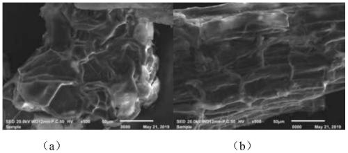 Modified pepper stem adsorbing material as well as preparation method and application thereof