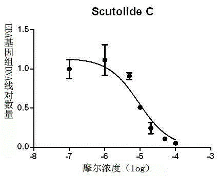 Scutellaria barbata extract as well as preparation method and application thereof