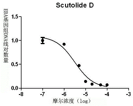 Scutellaria barbata extract as well as preparation method and application thereof