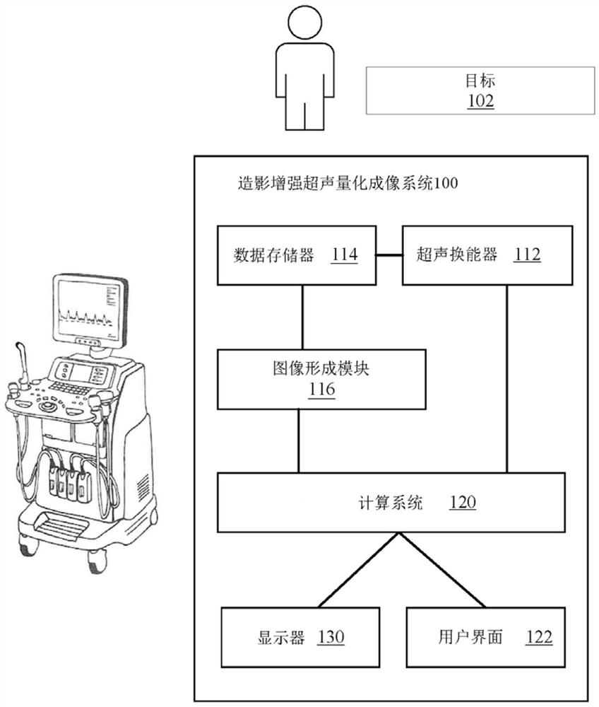 System and method for contrast enhanced ultrasound quantification imaging