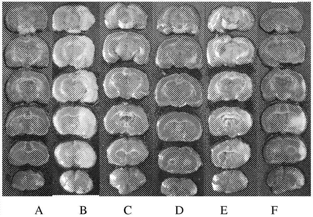 Composition of active ingredient of traditional chinese medicine and use thereof