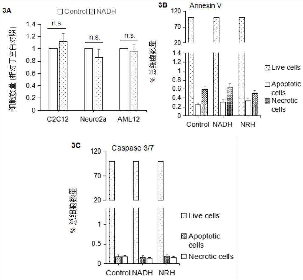 Application of NAD+ supplement in preparation of medicine for treating acute alcoholic liver injury