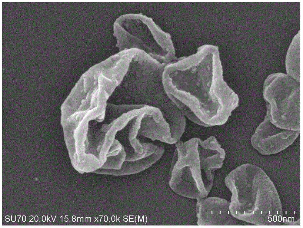 Nano precious metal load polymer vesica and preparing method thereof