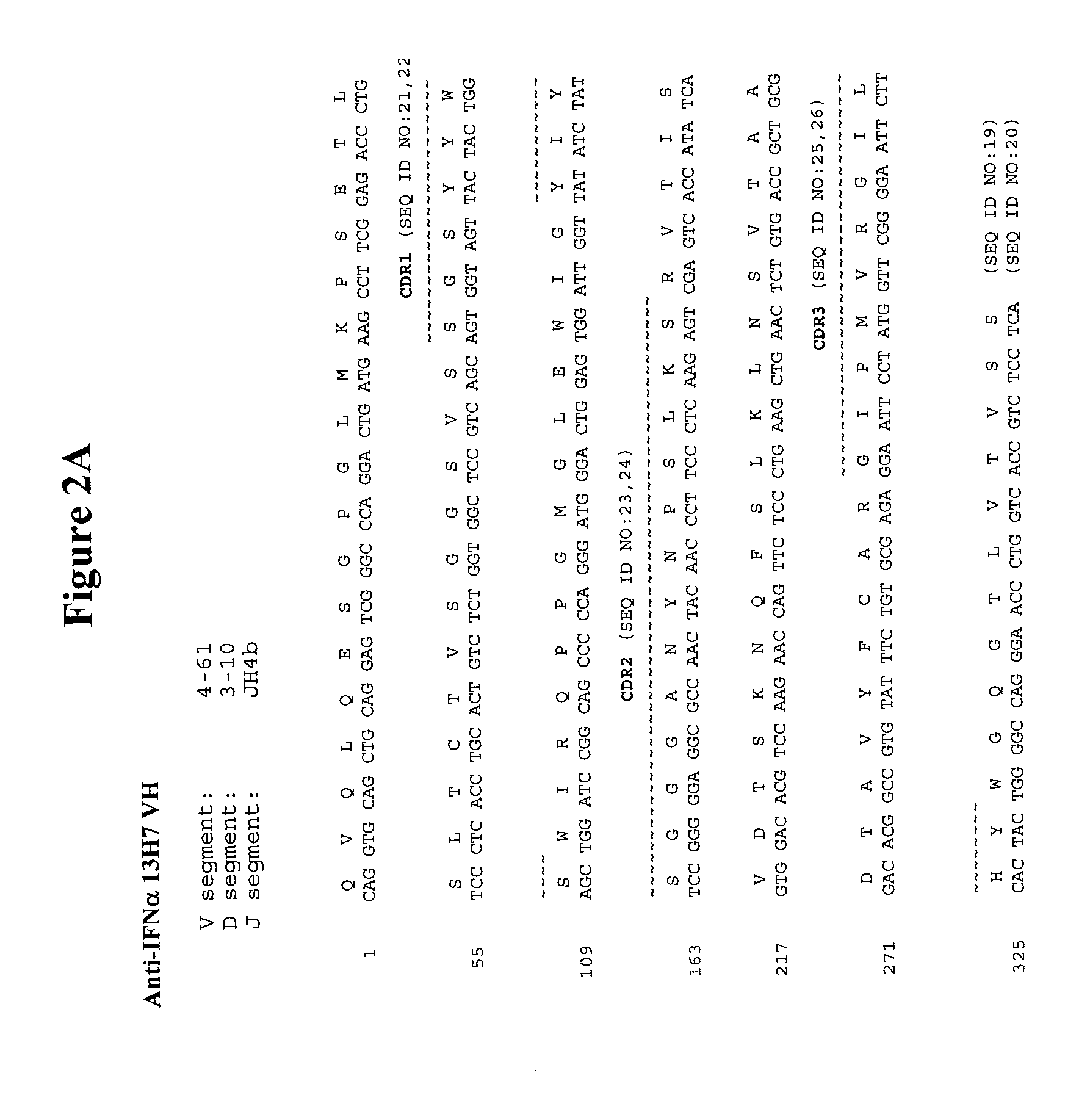 Antibodies with decreased deamidation profiles