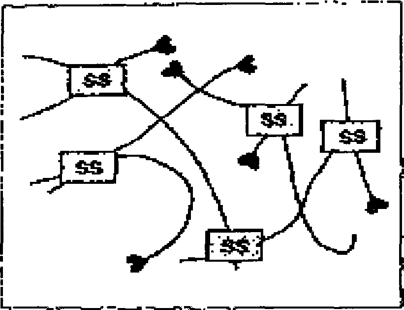 Nutrient fish meat prepared food for children and technique for preparing the same