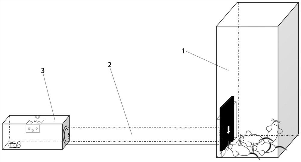 Testing device for in-group levels of small animals and experimental method