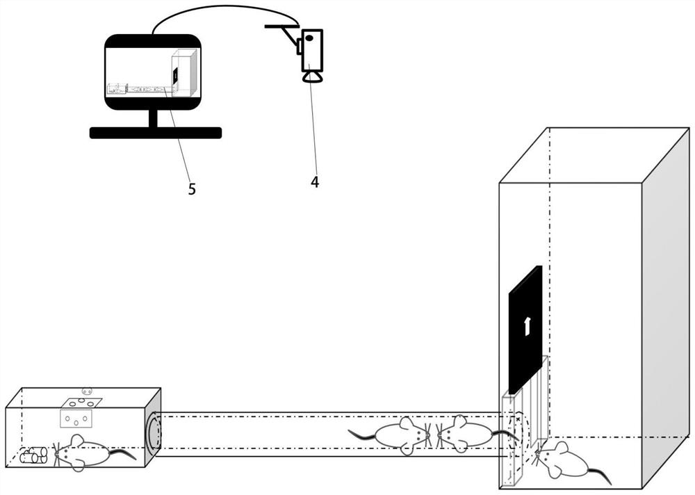 Testing device for in-group levels of small animals and experimental method