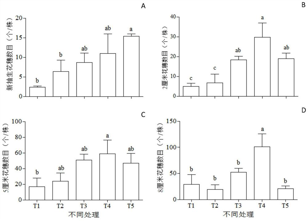 A kind of exogenous gibberellin ear increasing method of pepper