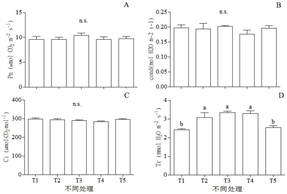 A kind of exogenous gibberellin ear increasing method of pepper