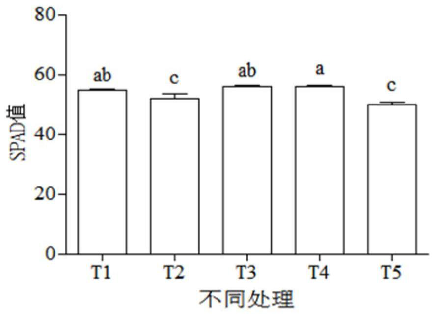 A kind of exogenous gibberellin ear increasing method of pepper