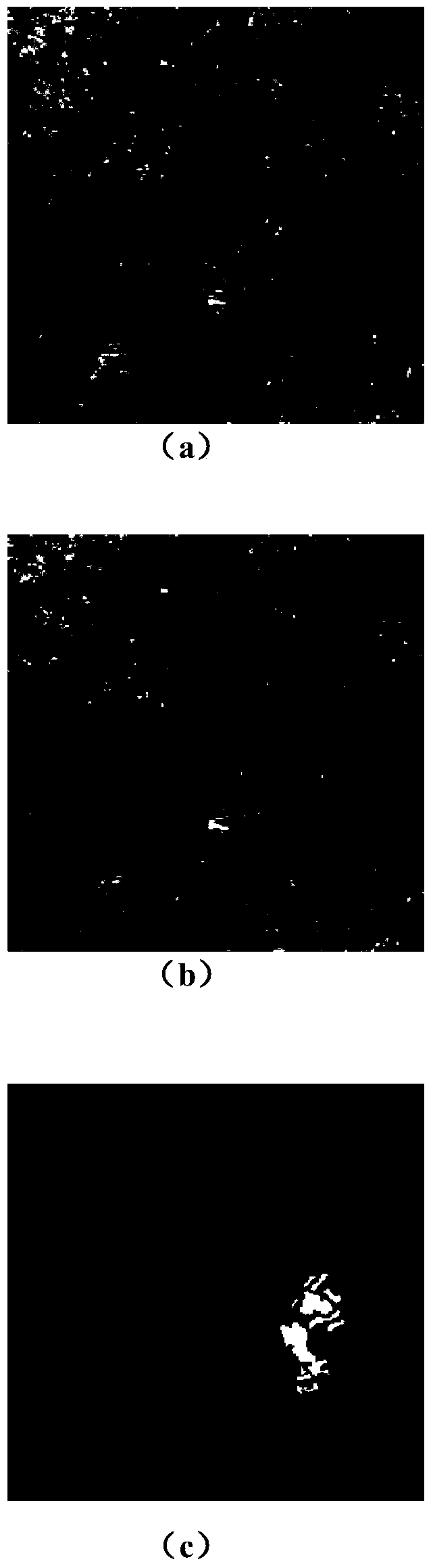 Non-local wavelet information based remote sensing image change detection method