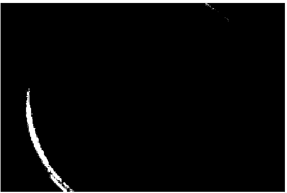 Brevibacillus brevis H3 and application thereof