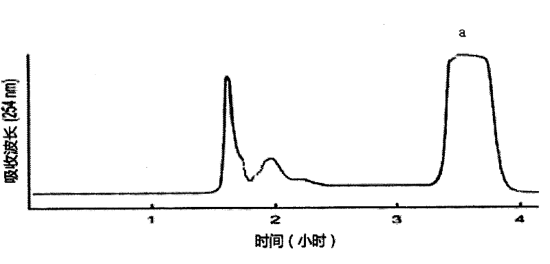 Method for separating and preparing echinacoside in herba cistanche