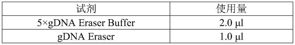 Primer group for real-time fluorescent quantitative PCR (Polymerase Chain Reaction) detection of porcine muscle regulatory factor and application of primer group