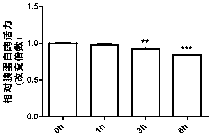 Application of mogroside IIE in preparing trypsin inhibitors