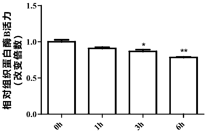 Application of mogroside IIE in preparing trypsin inhibitors