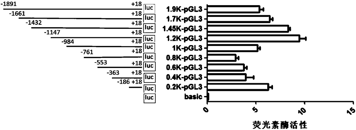 Molecular marker breeding method for improving natural immunity of pigs and application of molecular marker breeding method