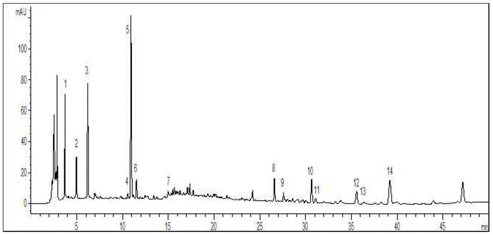 Construction method of standard finger-print and characteristic spectrum of Suoquan preparation and quality detection method