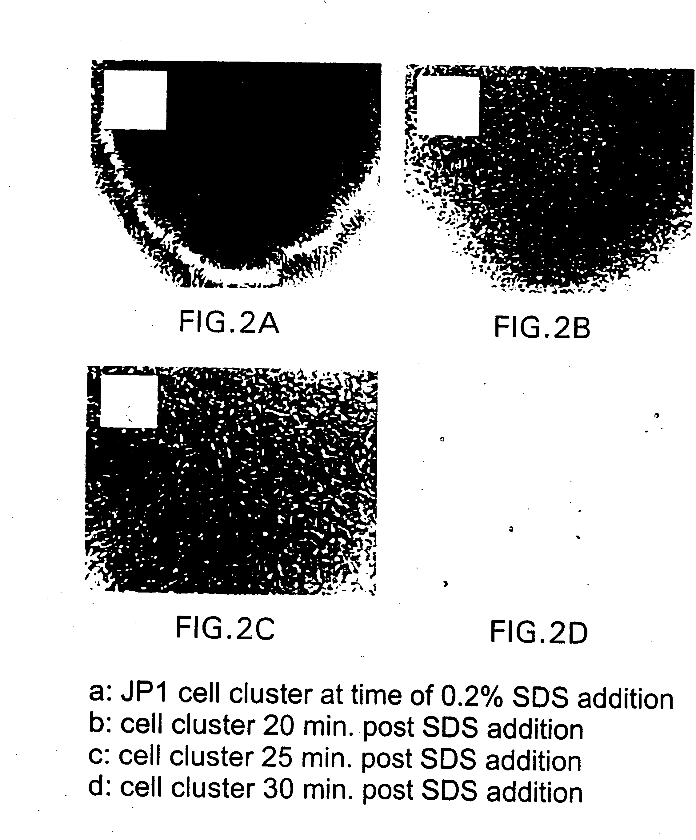 Methods and compositions for controlling biofilm development