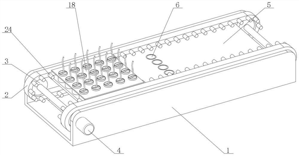 Walnut seedling transplanting device and method