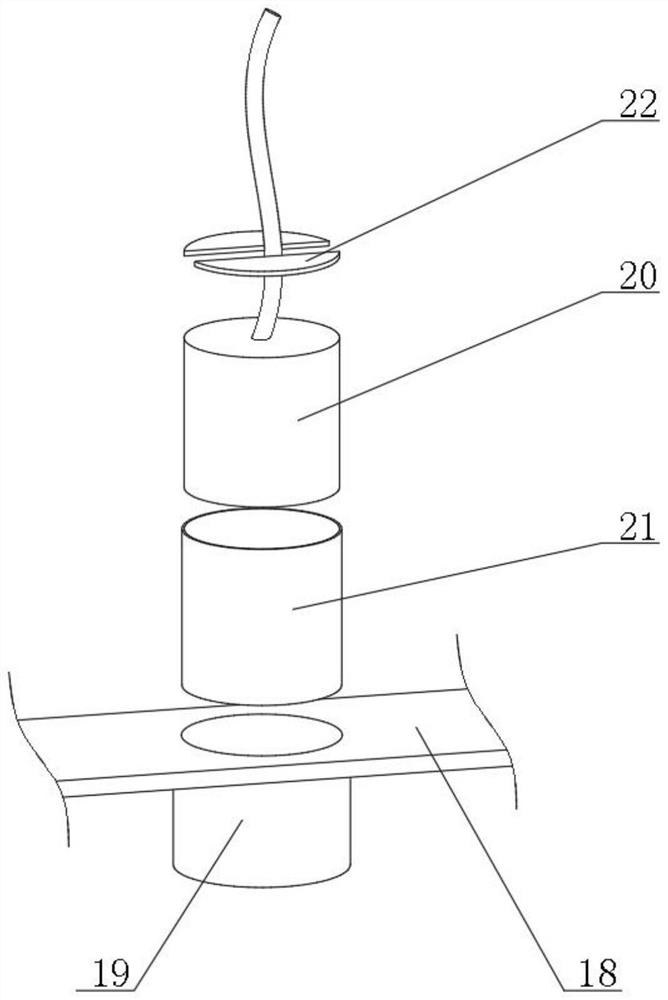 Walnut seedling transplanting device and method