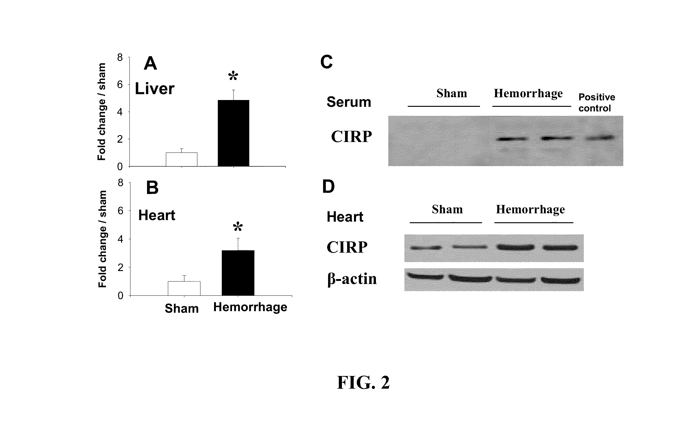 Treatment of cutaneous wounds by inhibiting cold shock proteins