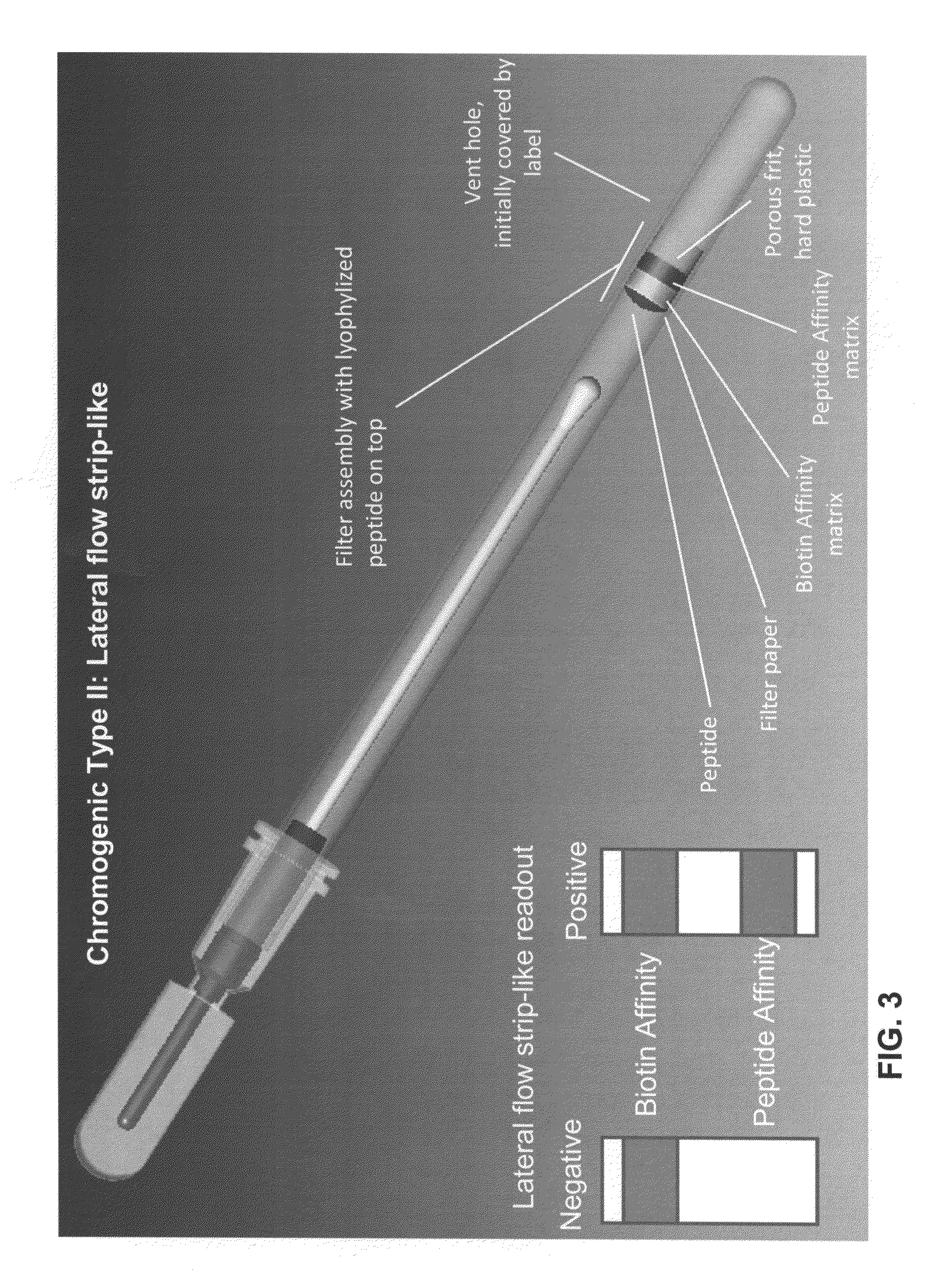 Devices for the detection of the presence and/or activity of proteases in biological samples