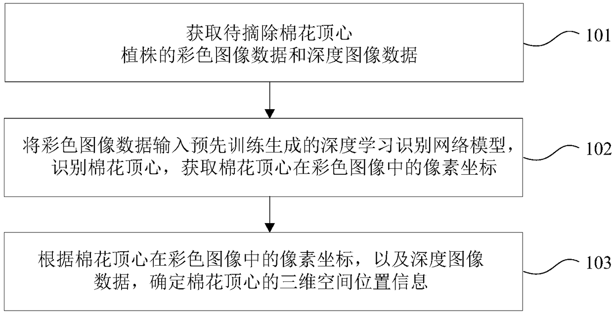 Positioning method, controller and removing device for removing the top center of cotton