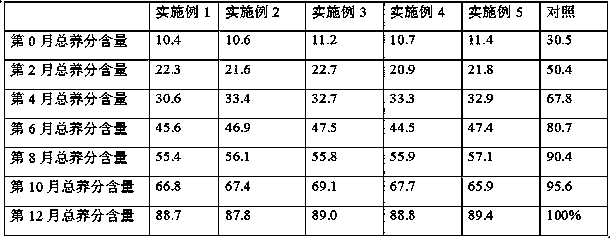 Special biochar-based slow release fertilizer for Cunninghamia lanceolata, and preparation method thereof