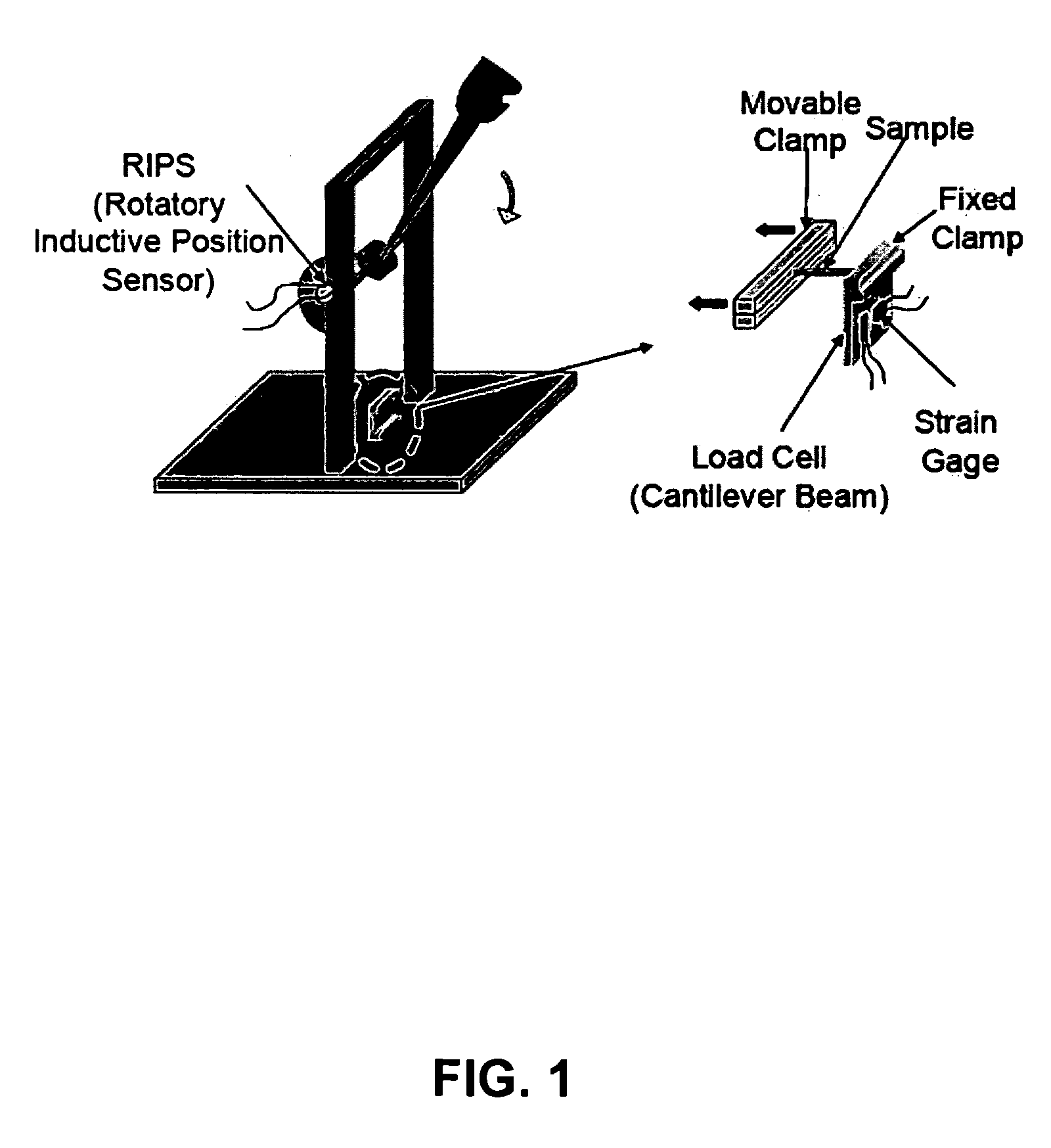 Process for improving tear resistance in elastic films