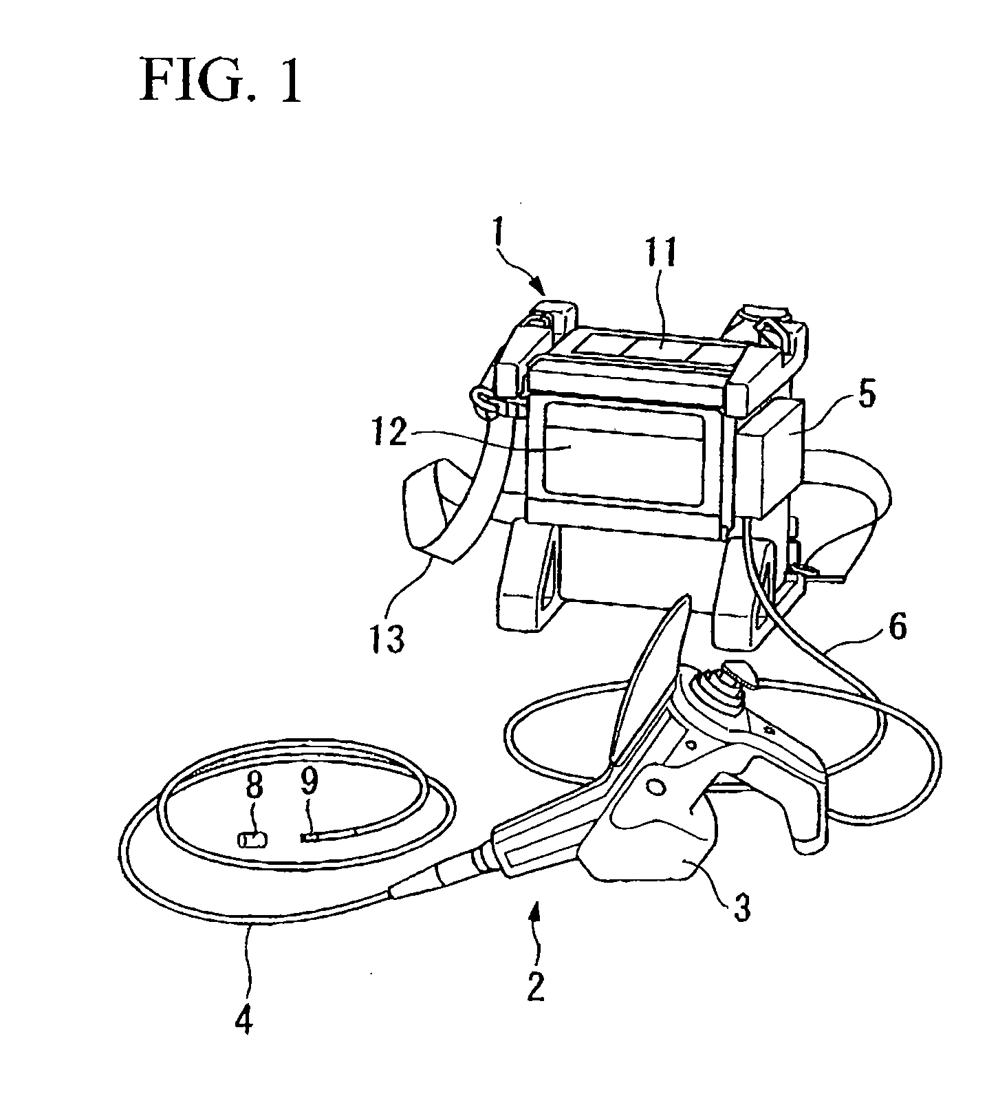 Endoscope apparatus