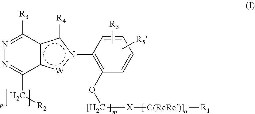 Ortho substituted phenylpyrazolo- and phenylpyrrolo-pyridazine derivatives having multimodal activity against pain