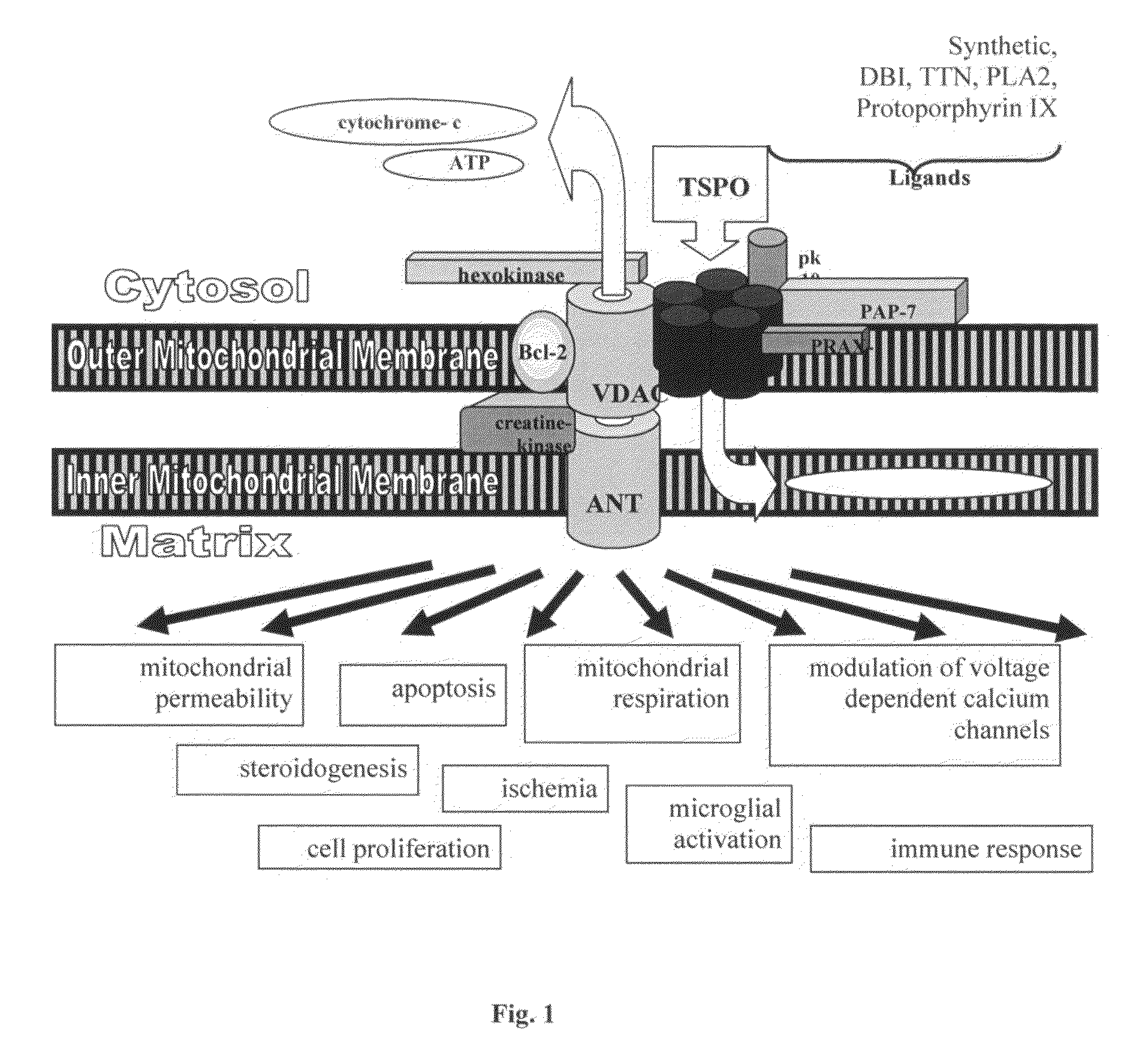 Compositions, articles and methods comprising TSPO ligands for preventing or reducing tobacco-associated damage