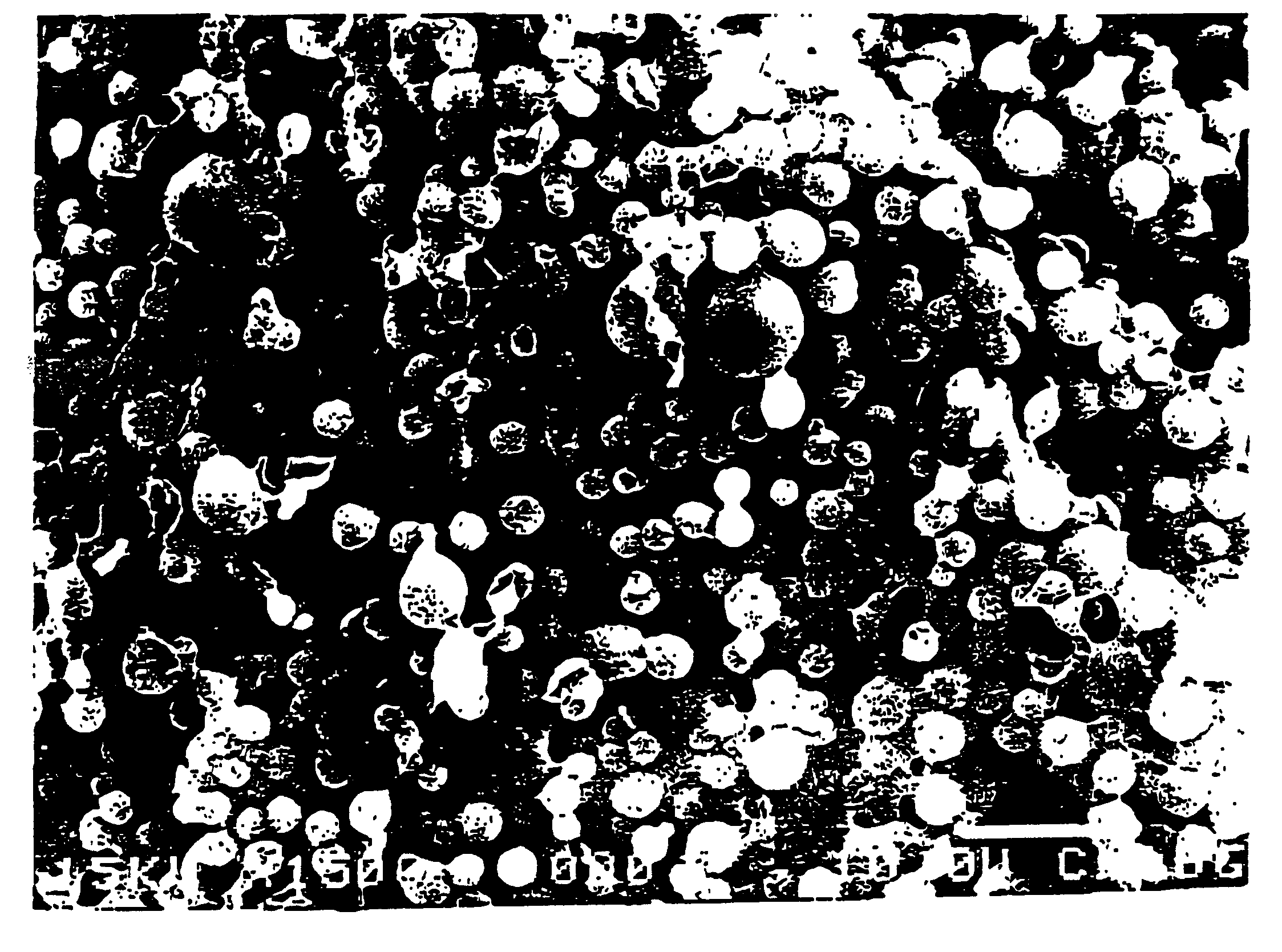 Composite gel microparticles as active principle carriers